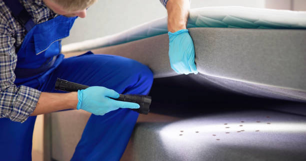 Best Cockroach Control Services  in Emporia, KS