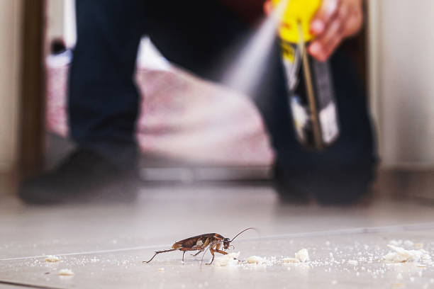 Best Best Pest Control Companies  in Emporia, KS